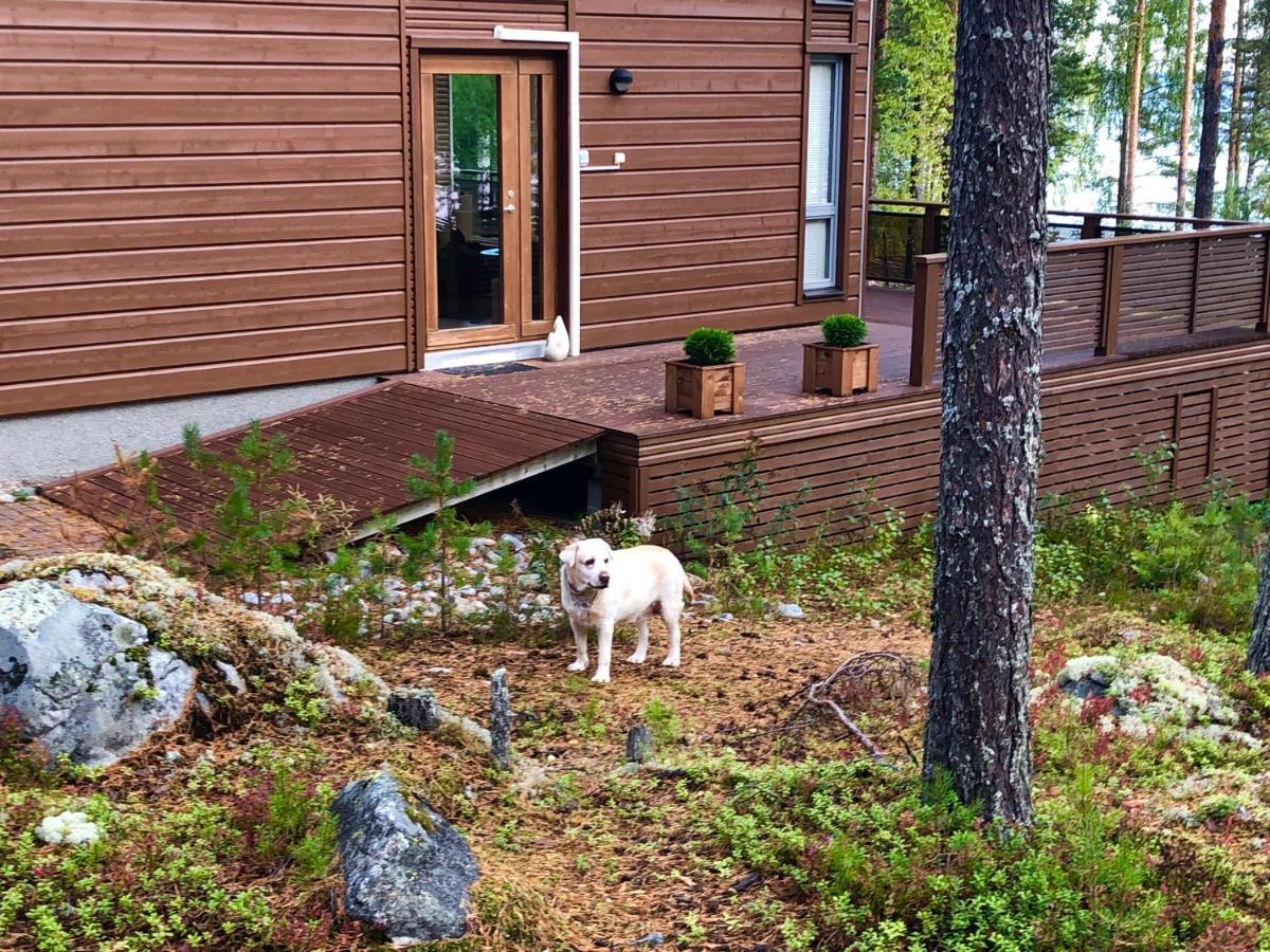 Pielislinna Kolinkylä Exterior foto
